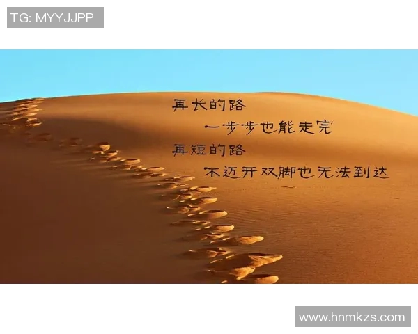 冠军之路:从挑战到辉煌,探寻每一个成功背后的奋斗与坚持 冠军之路:从挑战到辉煌,探寻每一个成功背后的奋斗与坚持