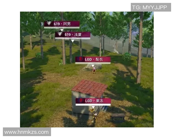 和平精英巨献：深入解析RNG战队近期状态与表现之谜