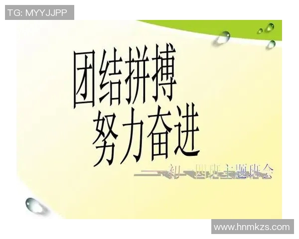 成都乒乓球队在邀请赛中的团队协作表现分析与点评