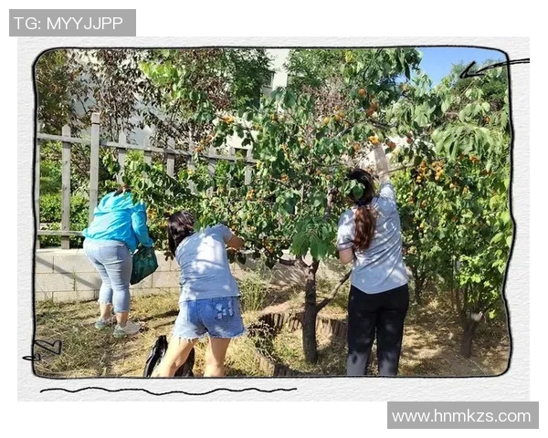 秋日果园采摘之旅：品味丰收的季节，享受自然馈赠的美好时光